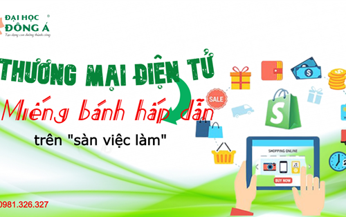 Thương mại điện tử - Miếng bánh hấp dẫn trên sàn việc làm